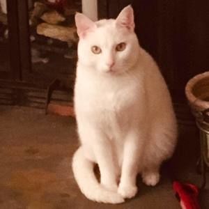 Meet your Posher, Ann elizabeth